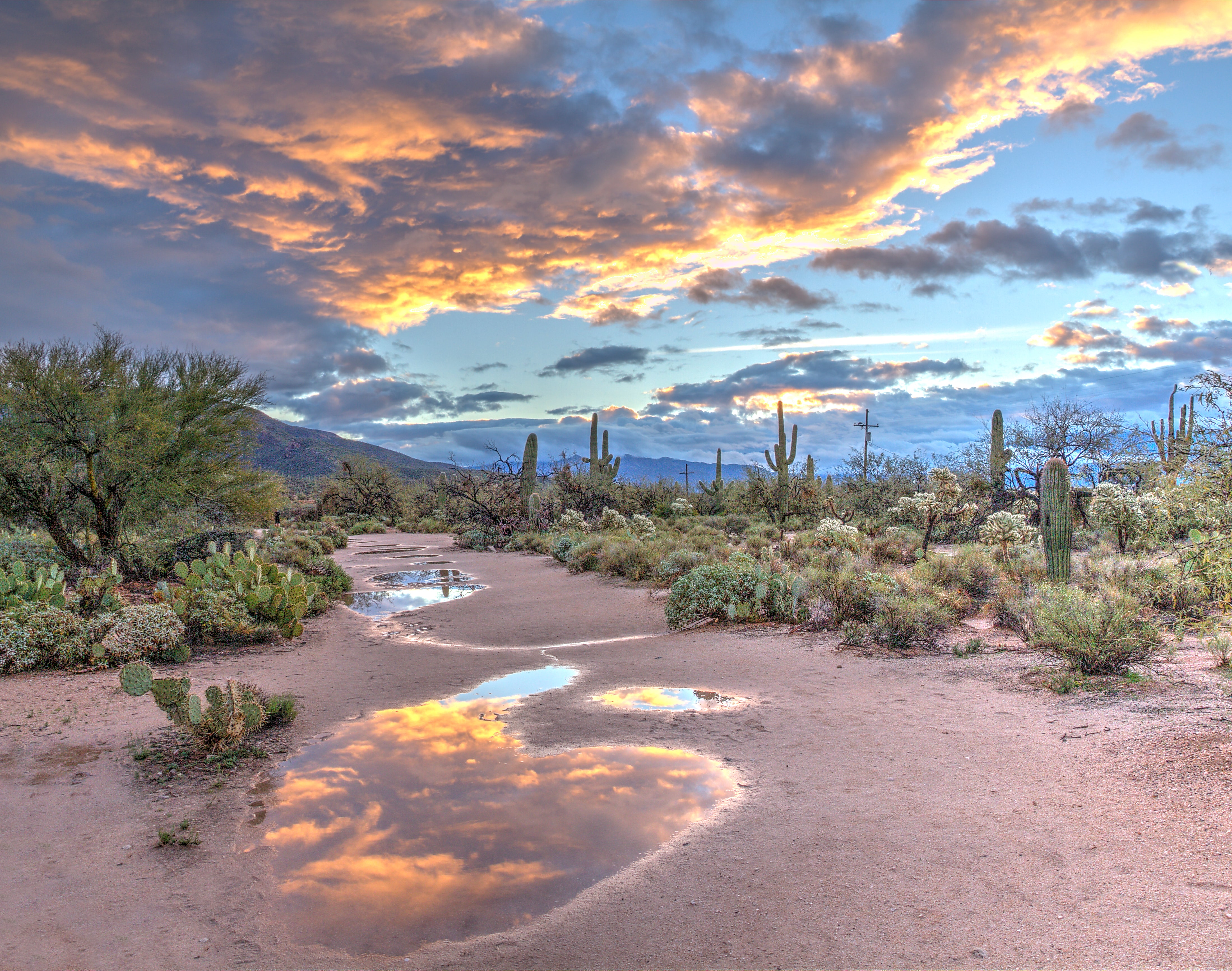 Discover Arizona’s Winter Wonders